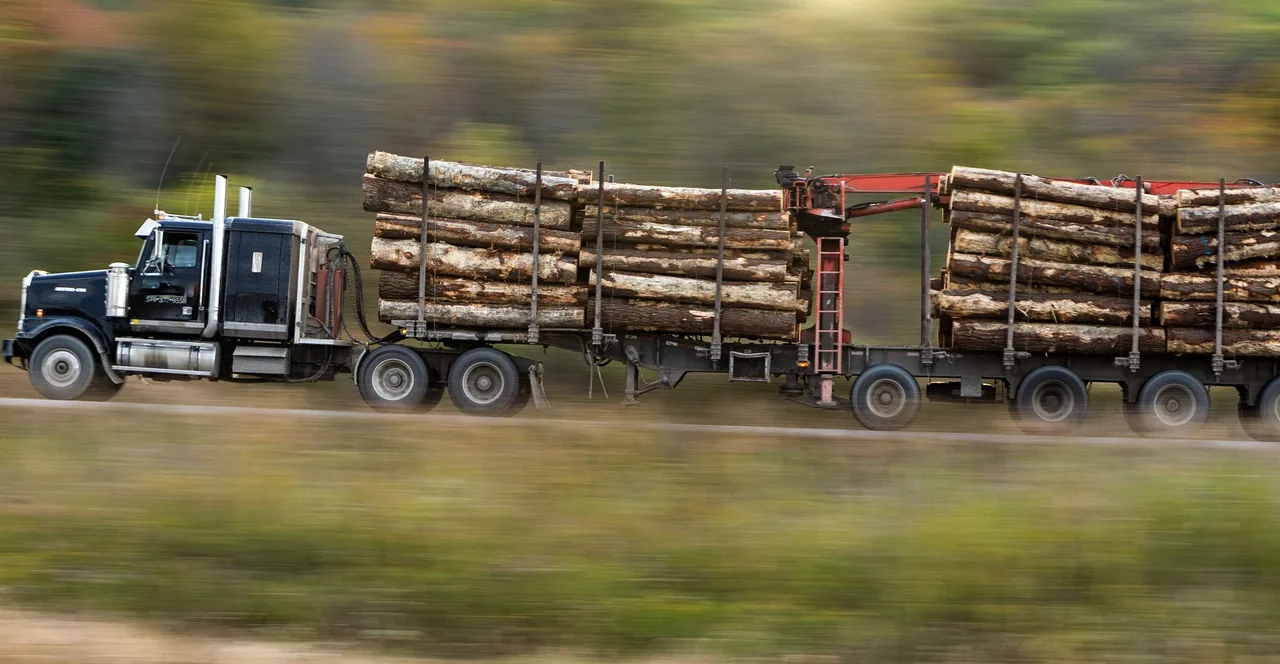 A truck hauling a load of timber along a highway
